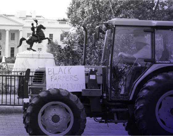 Black Farmers Discrimination Litigation